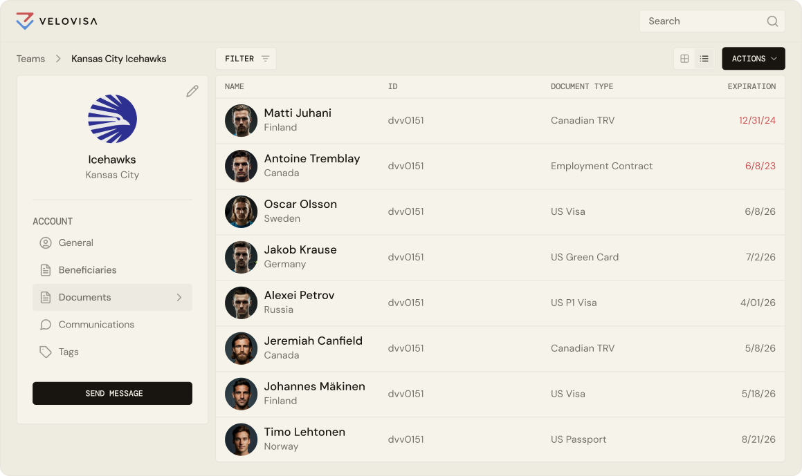 VeloVisa compliance dashboard showing team-wide immigration status