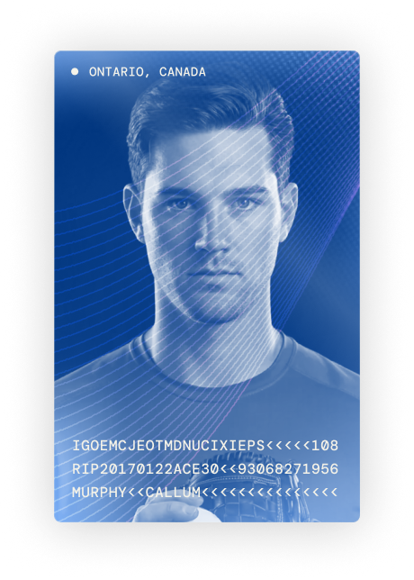 Visa-style player identification card showing immigration data fields
