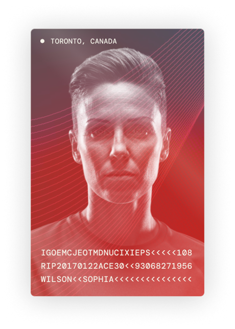 Visa-style player identification card showing soccer player immigration data